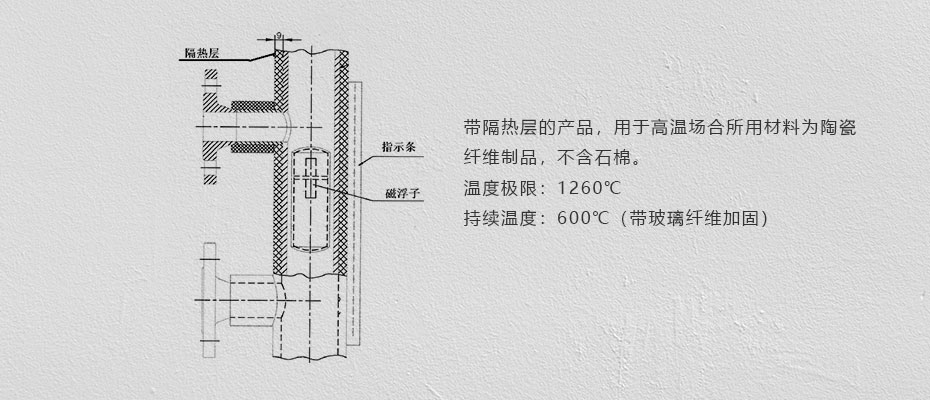 進(jìn)口液位計