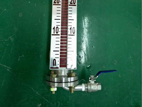 磁翻板液位計(jì)的種類