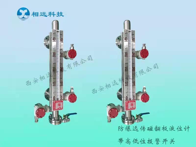 遠(yuǎn)傳報警型液位計