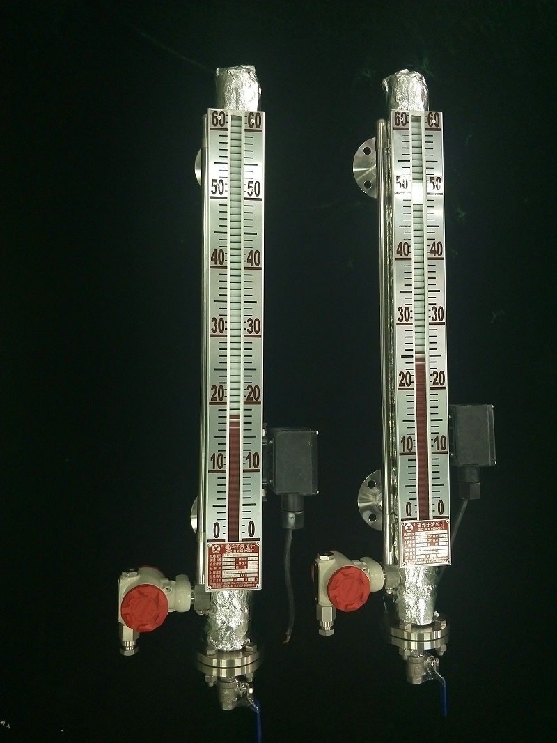 防腐磁翻板液位計