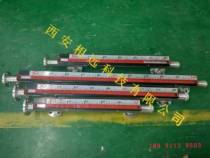 磁浮子液位計(jì)10